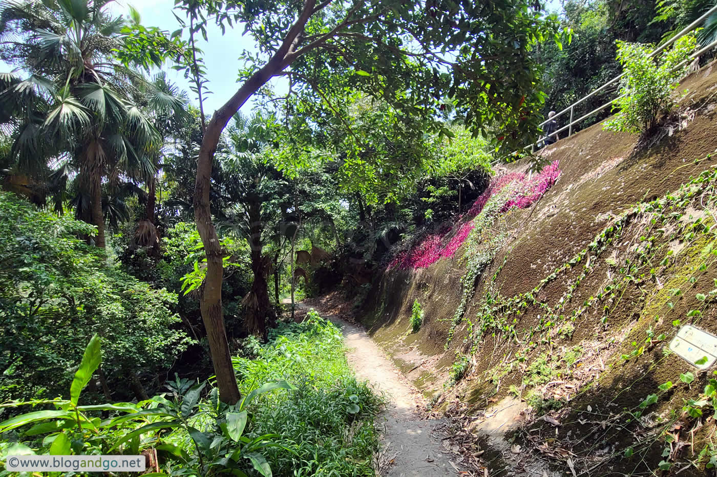 HK Trail 4 - Lady Clementi's Ride